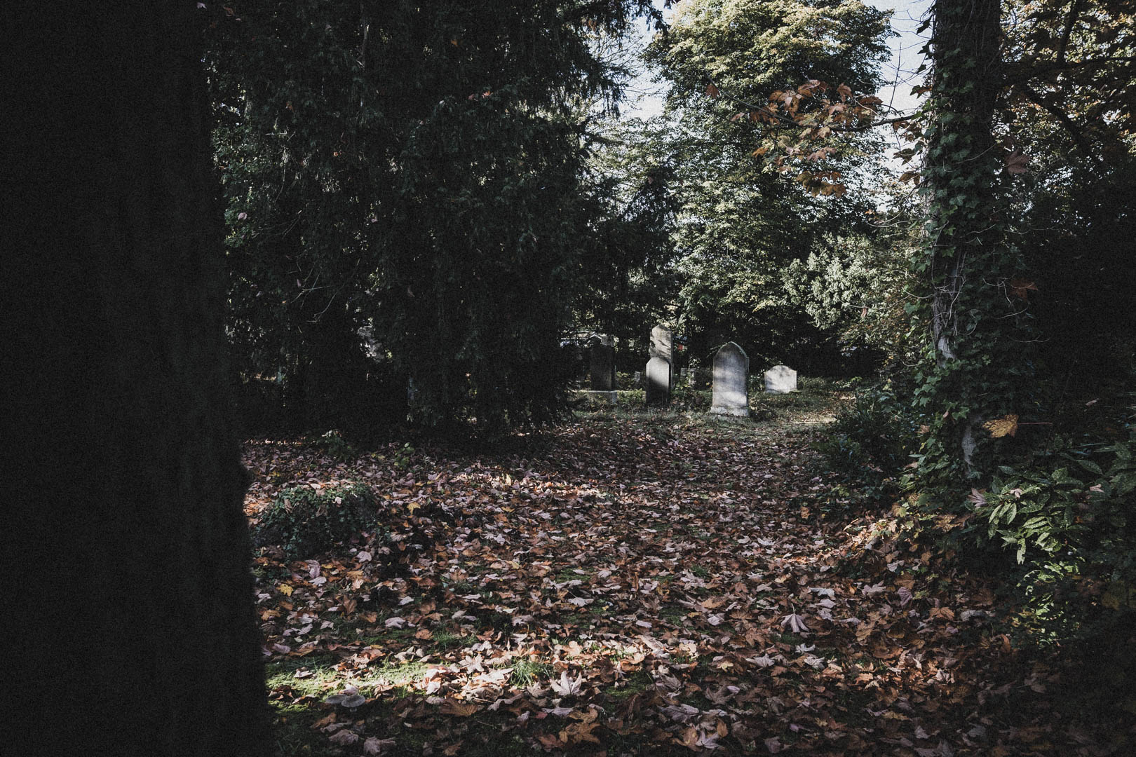 Schortens-Heidmühle, Jüdischer Friedhof